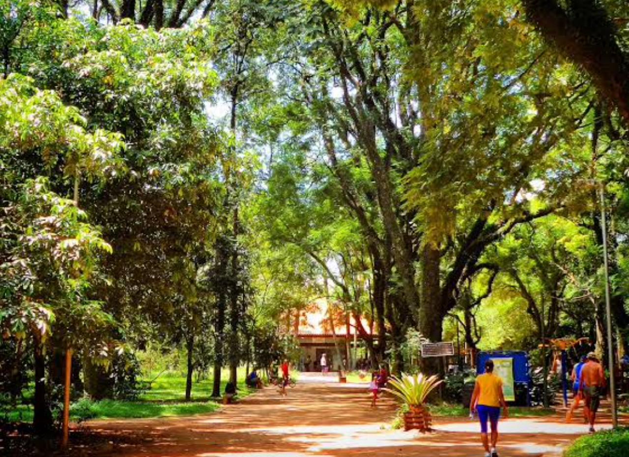 Locação de Van na Zona Norte