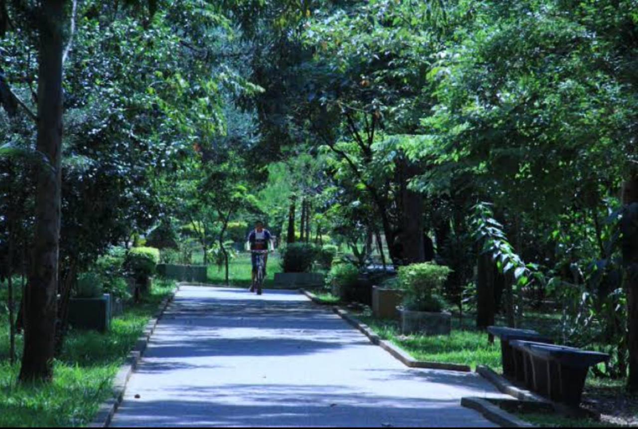 locação de van zona leste